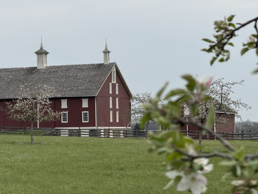 Focused Healing Intensives in Gettysburg