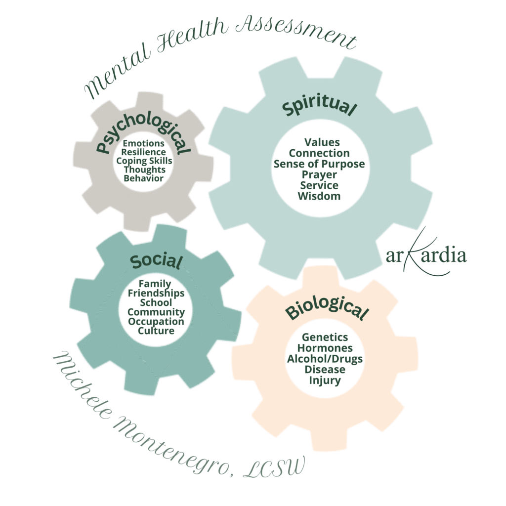 Biopsychosocial core of the Kardia Wellness Wheel with spiritual, psychological, biological, and social cogs.