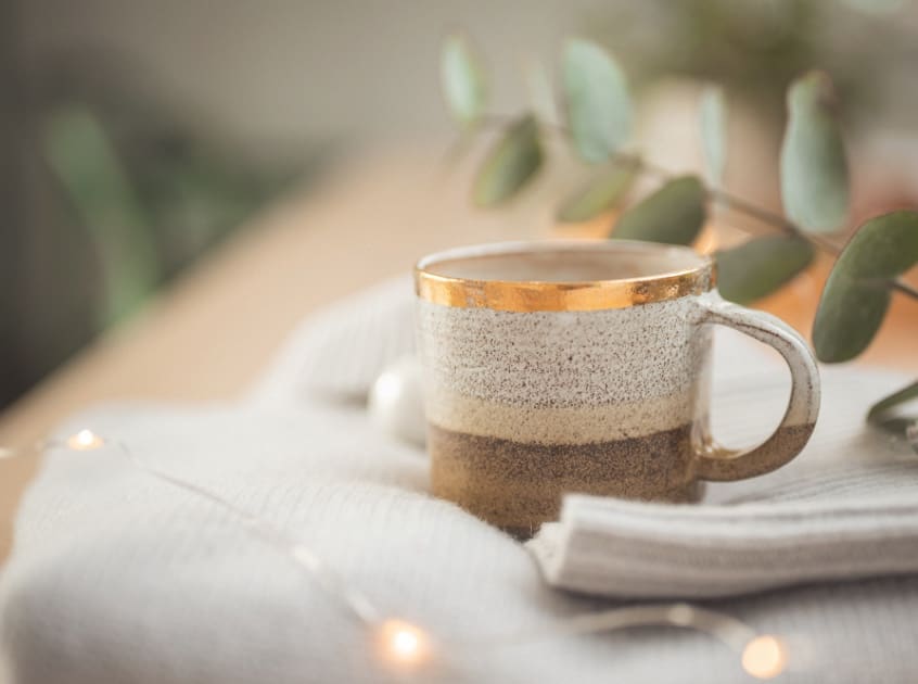 Cozy mug and greenery, reflecting the calm setting for EMDR and Brainspotting sessions at arKardia.